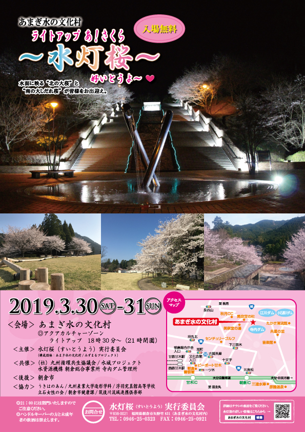朝倉市 桜のライトアップ
